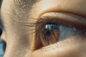 pexels-photo-32248219-32248219 Detailed macro of an eye reflecting trees and sky, capturing natural beauty and introspection.